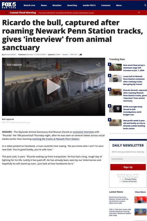 Ricardo the bull, captured after roaming Newark Penn Station tracks, gives 'interview' from animal sanctuary from Fox News