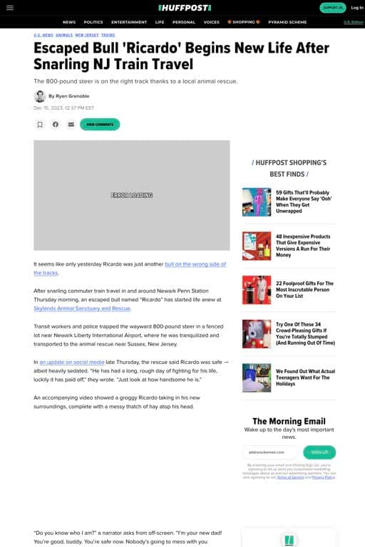 Escaped Bull 'Ricardo' Begins New Life After Snarling NJ Train Travel from Huffpost